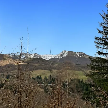 Chalet Lioran - Vue Plomb Du Cantal - Terrasse Plein Sud - 5 Pers Saint-Jacques-des-Blats