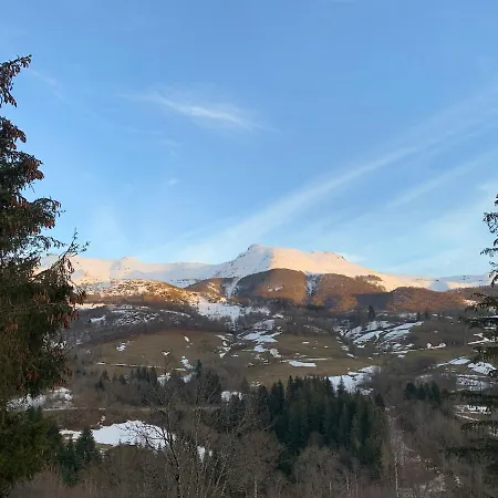 Lioran - Vue Plomb Du Cantal - Terrasse Plein Sud - 5 Pers Chalet